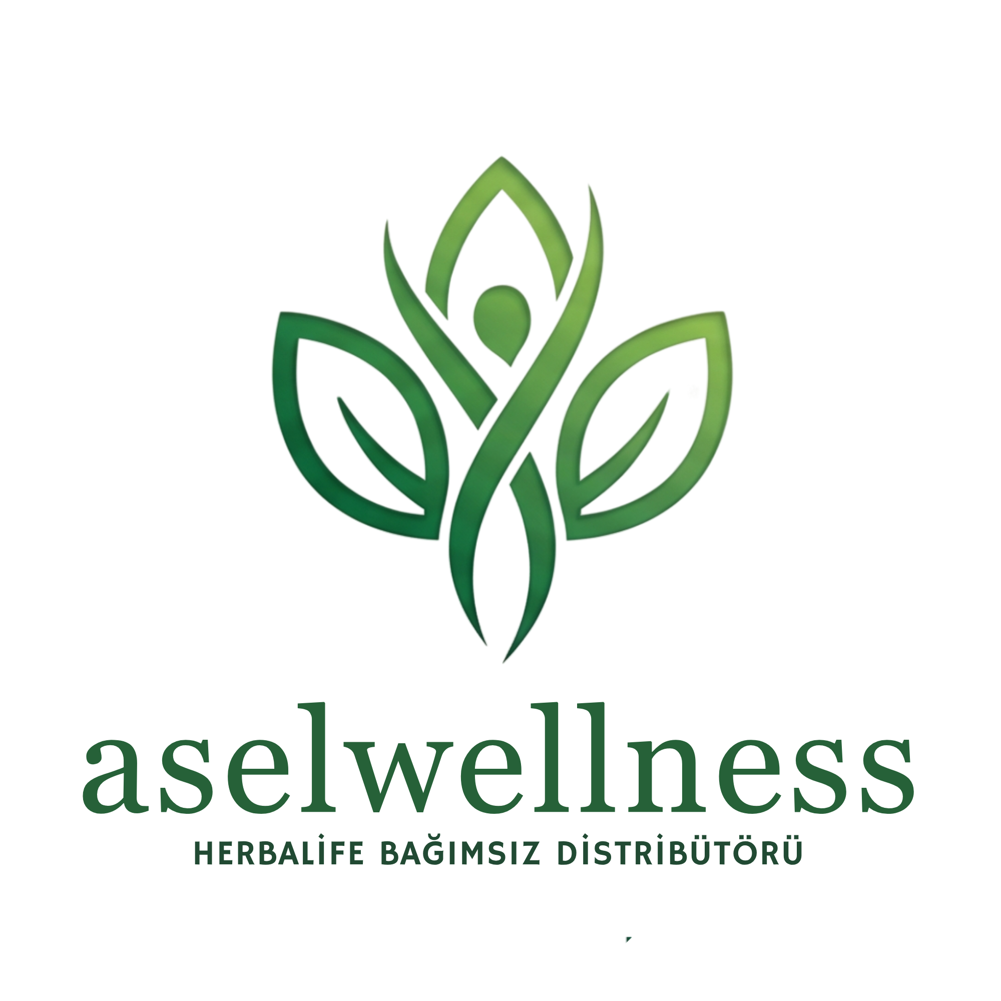 Asel Wellness